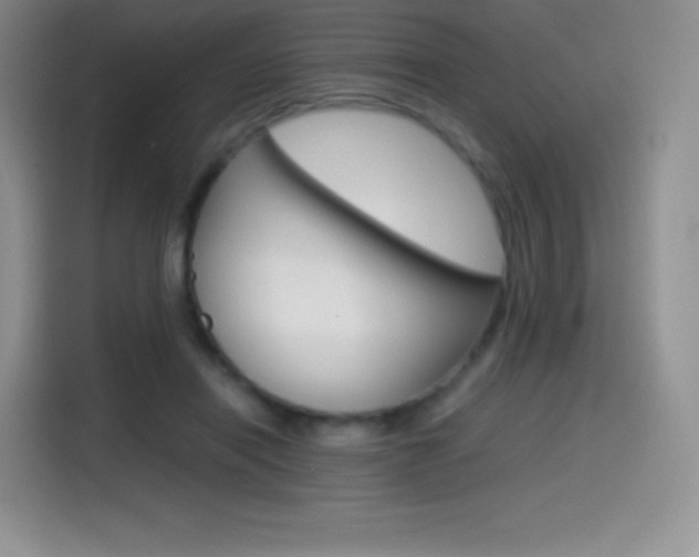 X0000114600454200910191057