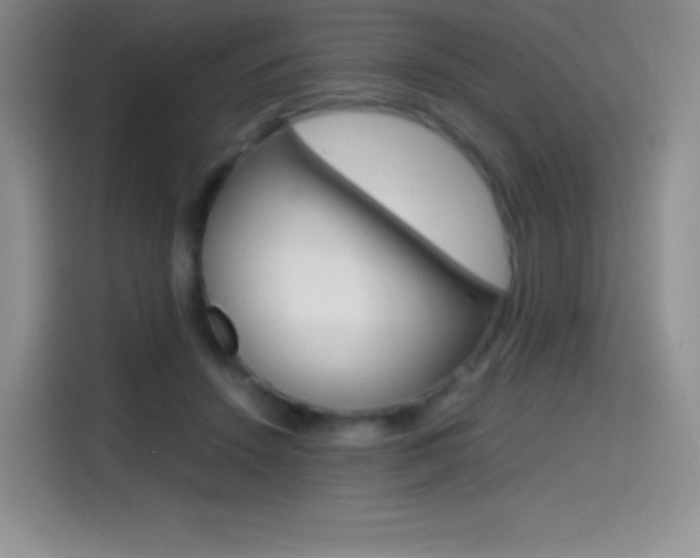 X0000114600456200910191057