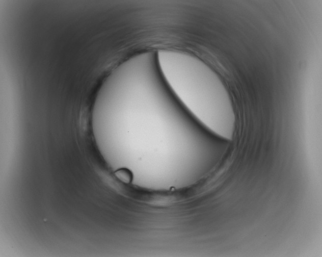 X0000114600458200910191057