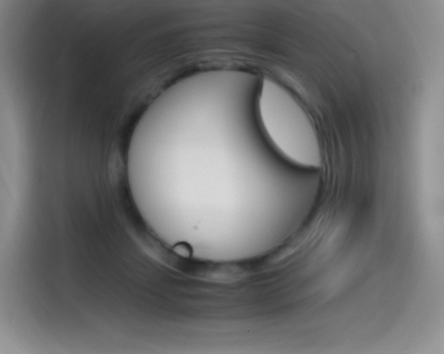 X0000114600459200910191057