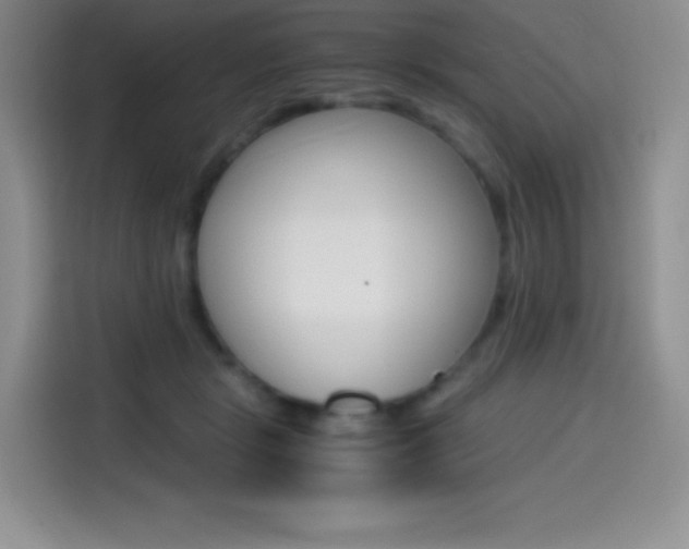 X0000114600461200910191057