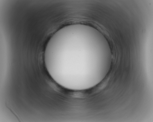 X0000114600462200910191057