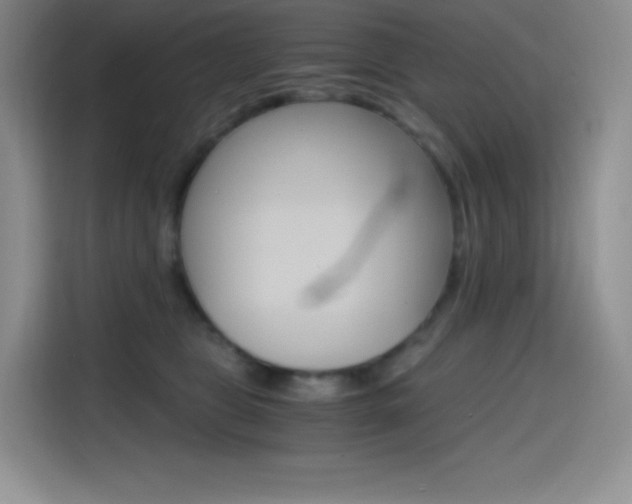 X0000114600469200910191057