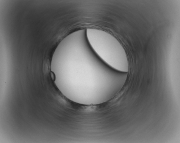 X0000114600474200910191058