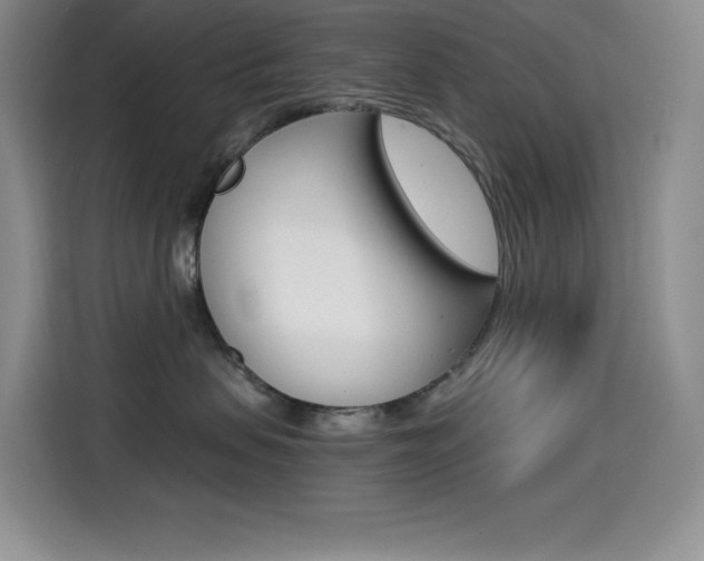 X0000114600479200910191058