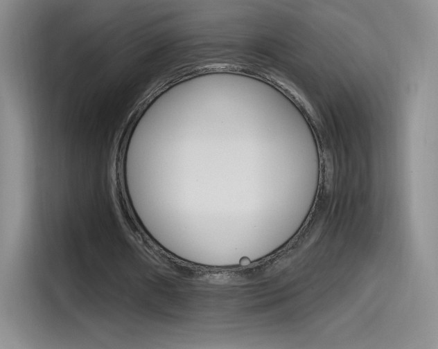 X0000114600482200910191057