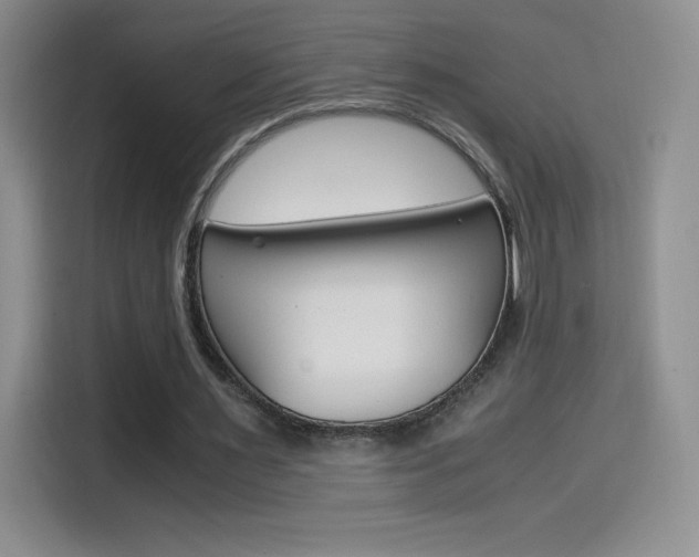 X0000114600483200910191057