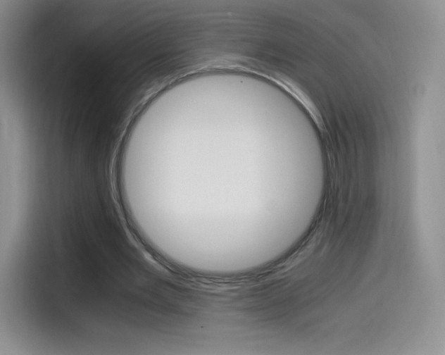 X0000114600485200910191057