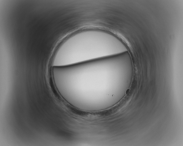 X0000114600487200910191057