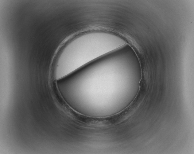 X0000114600488200910191057