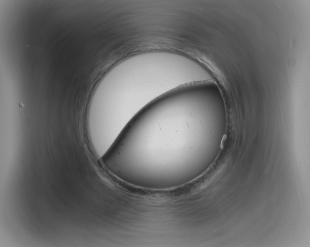 X0000114600489200910191057