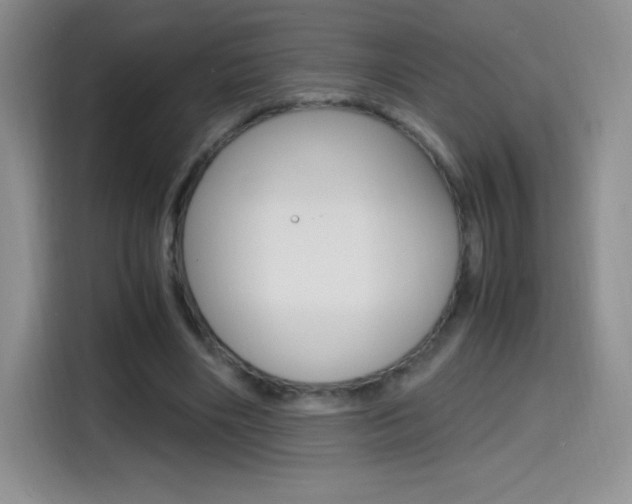 X0000114600490200910191057