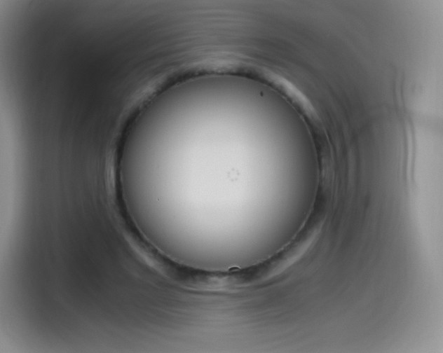 X0000114600493200910191057