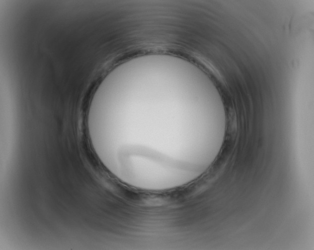 X0000114600494200910191057