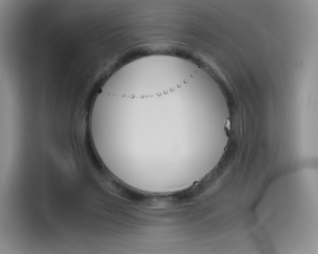 X0000114600495200910191057