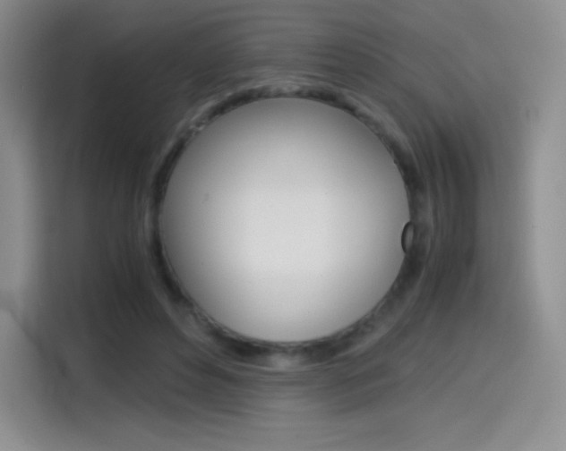 X0000114600496200910191057