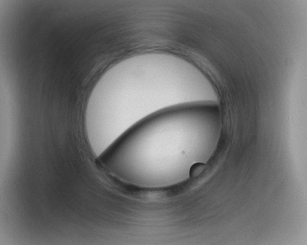 X0000114600501200910191057