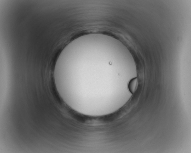 X0000114600503200910191057