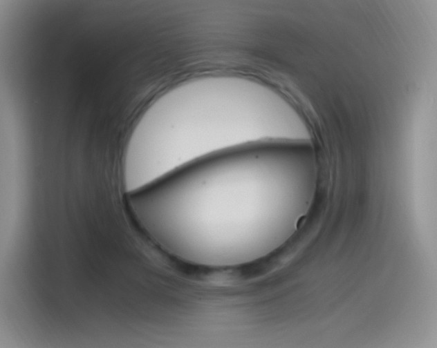 X0000114600505200910191057