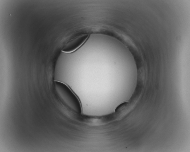 X0000114600509200910191057