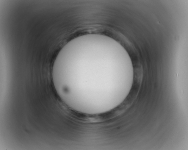 X0000114600510200910191057