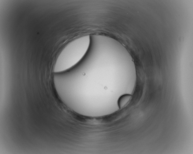 X0000114600511200910191057