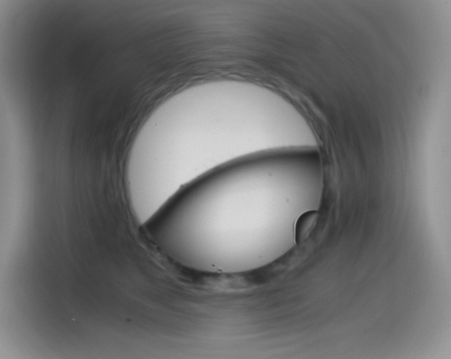 X0000114600517200910191057