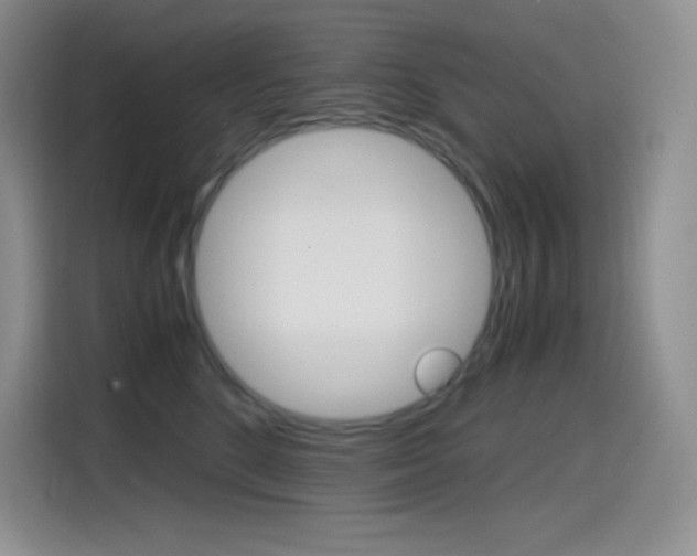 X0000114600520200910191056