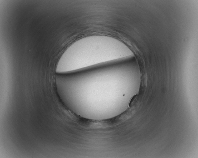 X0000114600521200910191056