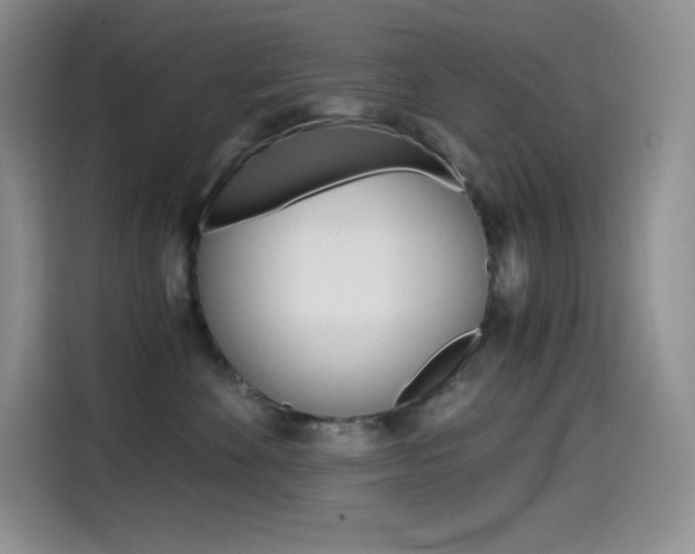 X0000114600524200910191056