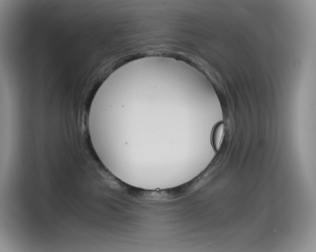 X0000114600525200910191056