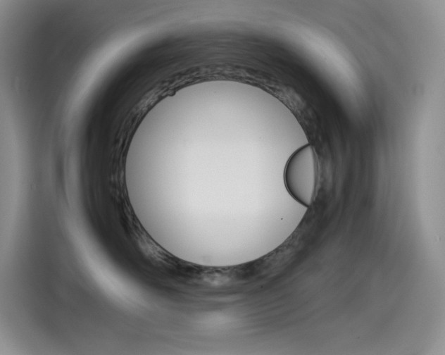 X0000114600526200910191056