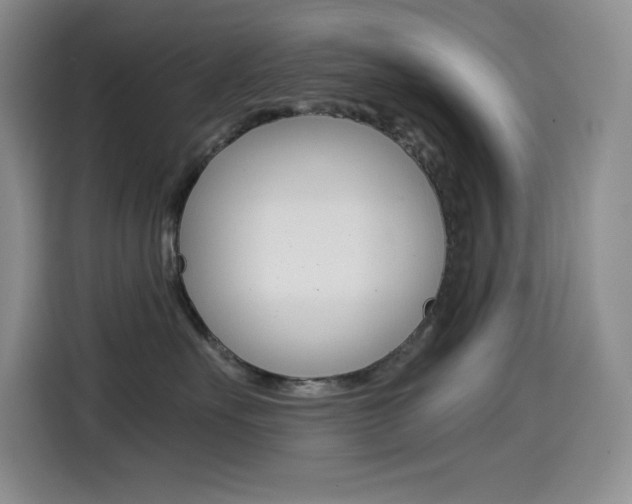 X0000114600527200910191056