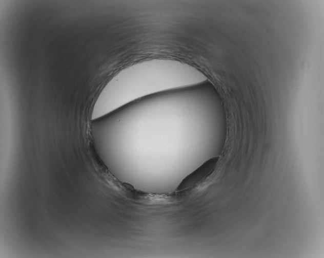 X0000114600528200910191056