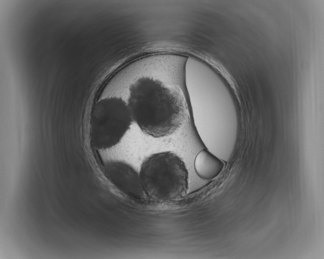 X0000114600529200910191056