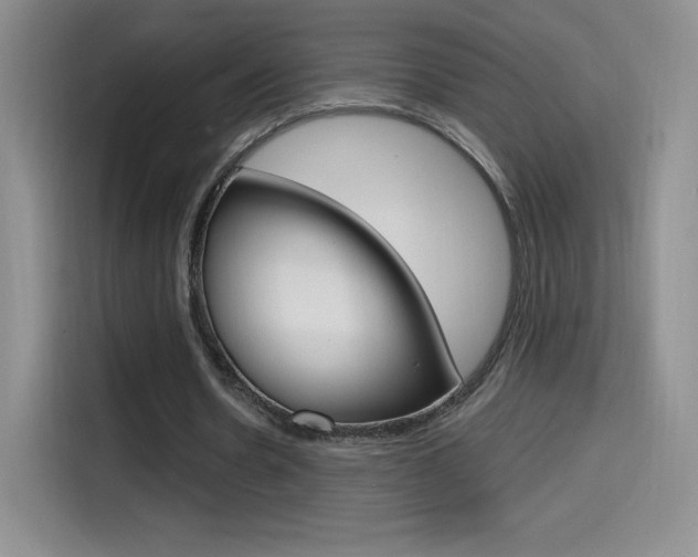 X0000114600530200910191056