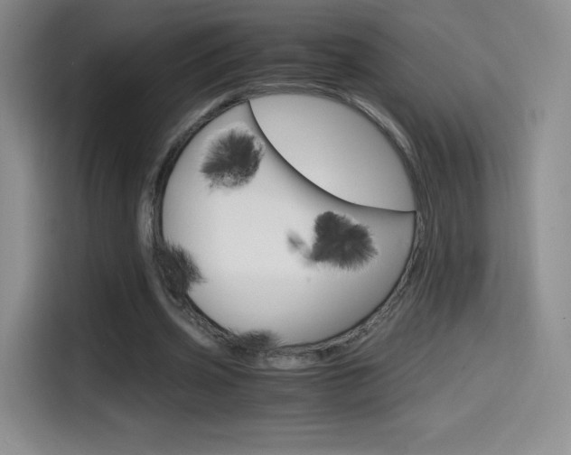 X0000114600533200910191056