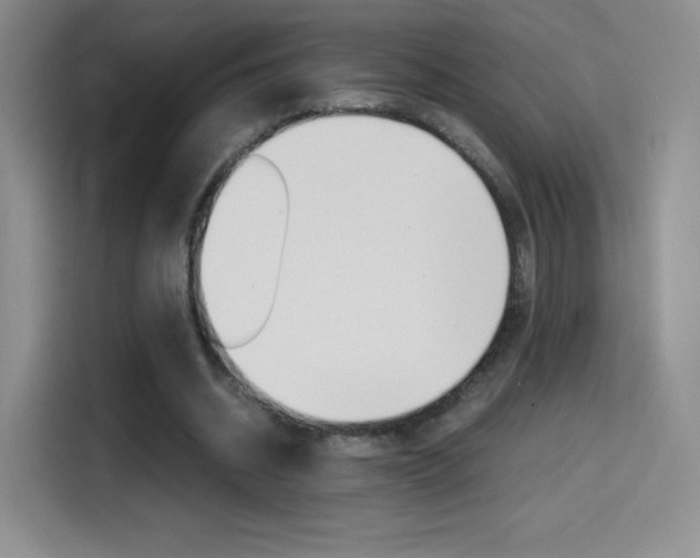 X0000114600534200910191056