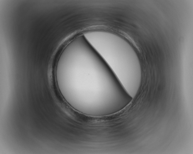 X0000114600535200910191056