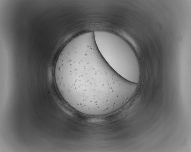 X0000114600537200910191056