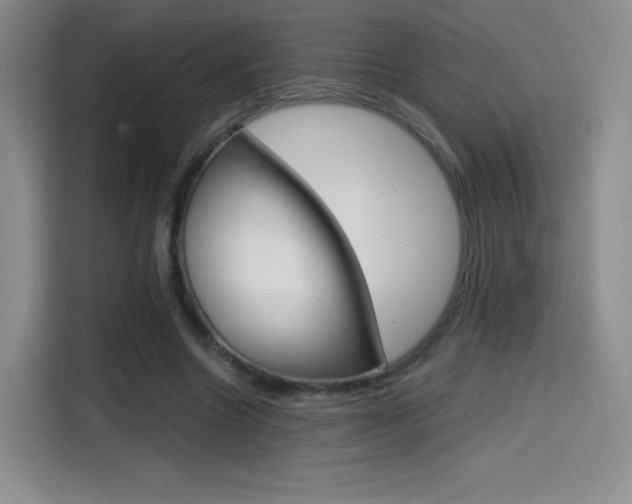 X0000114600538200910191056