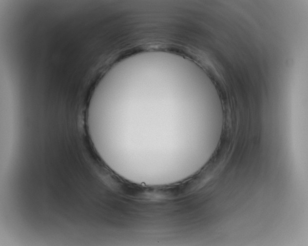 X0000114600545200910191056