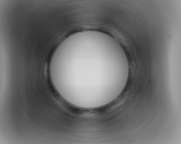 X0000114600550200910191056