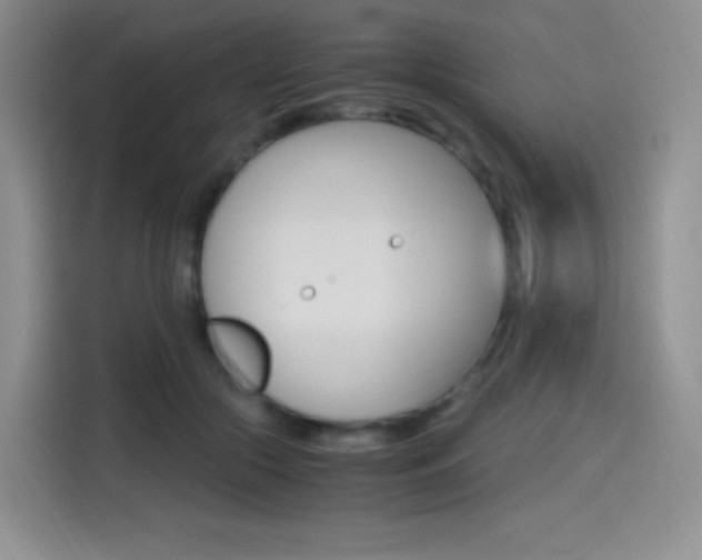 X0000114600553200910191056