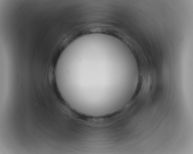 X0000114600554200910191056