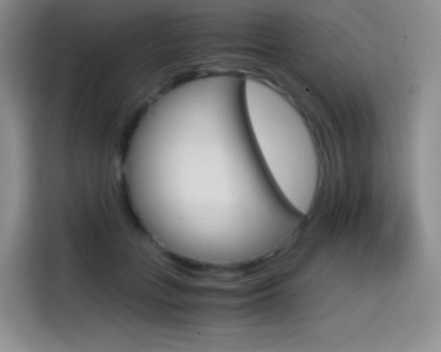 X0000114600555200910191056