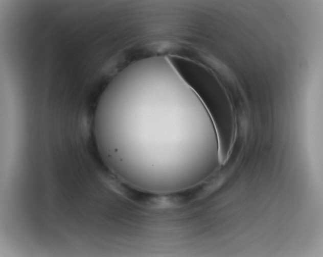 X0000114600558200910191056