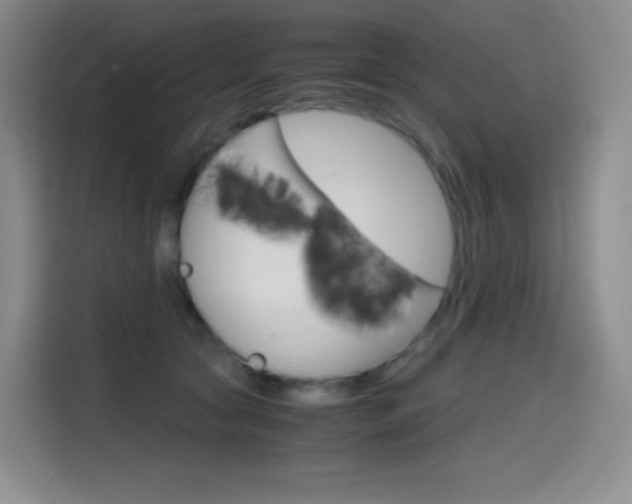 X0000114600561200910191056