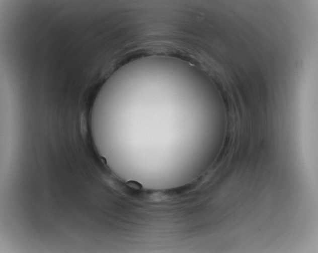 X0000114600562200910191056