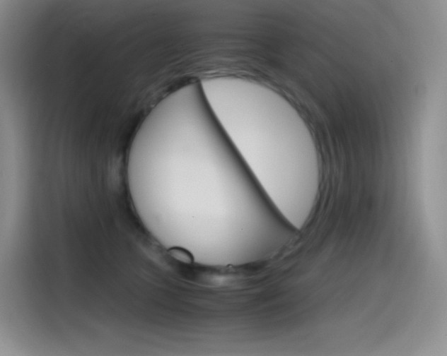 X0000114600563200910191056